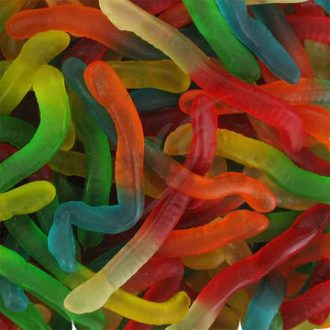 Železovky Dážďovky